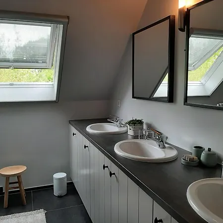De Levensboom Tessenderlo