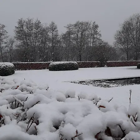 De Levensboom
