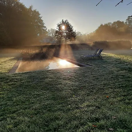 De Levensboom *